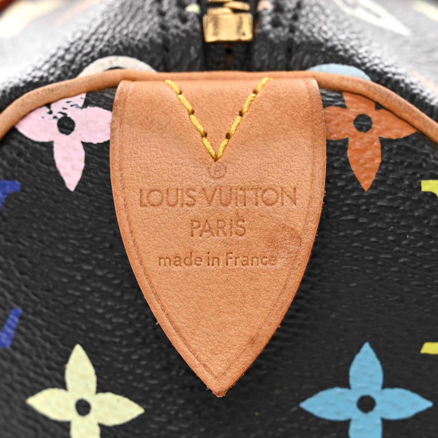Monogram Multicolor Speedy 30 Black