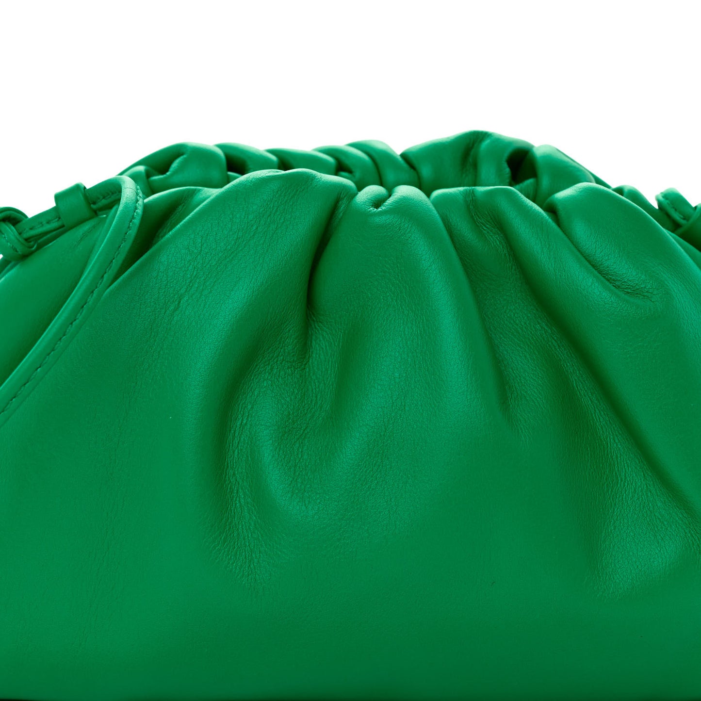 Butter Calfskin The Mini Pouch Parakeet