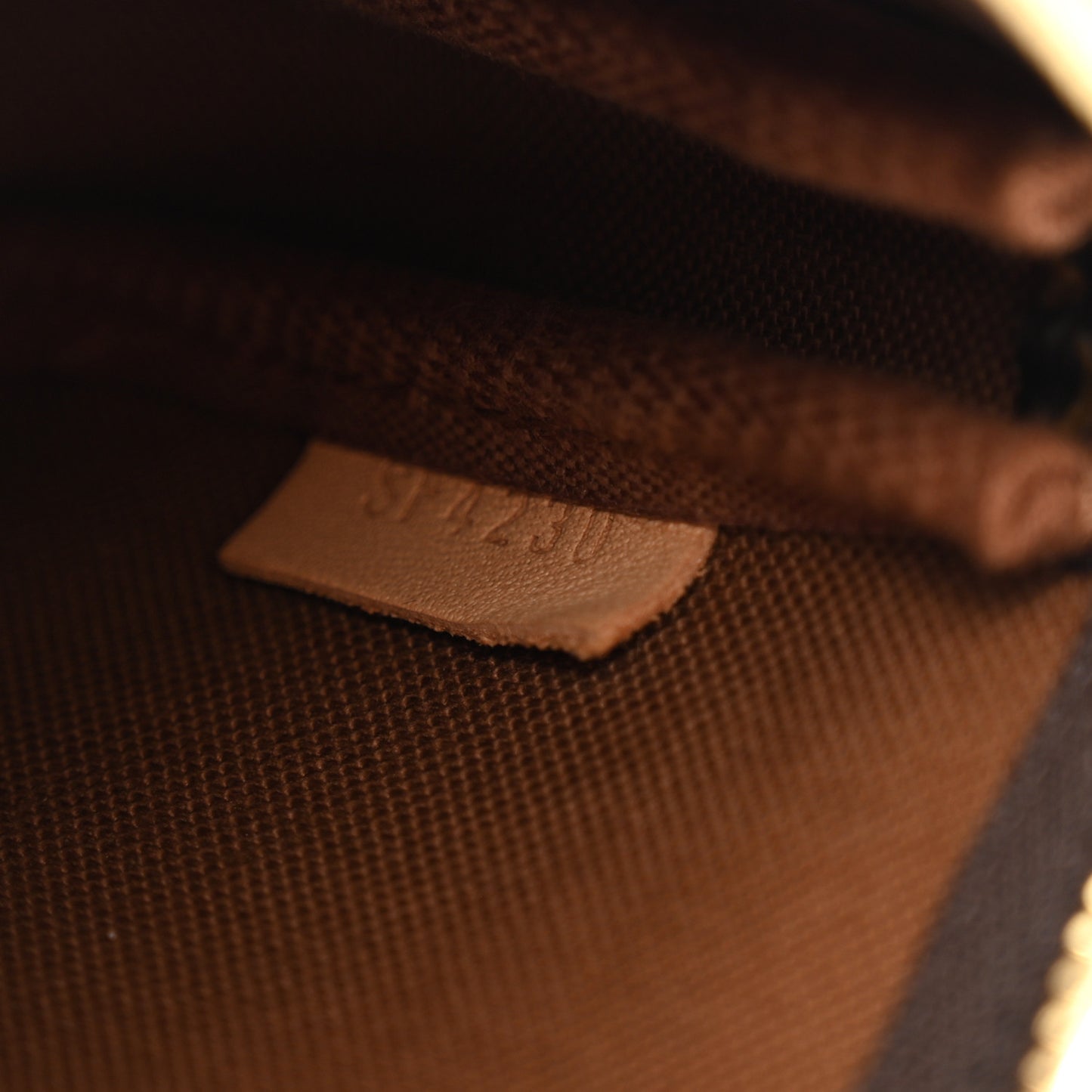 Monogram Mini Pochette Accessories