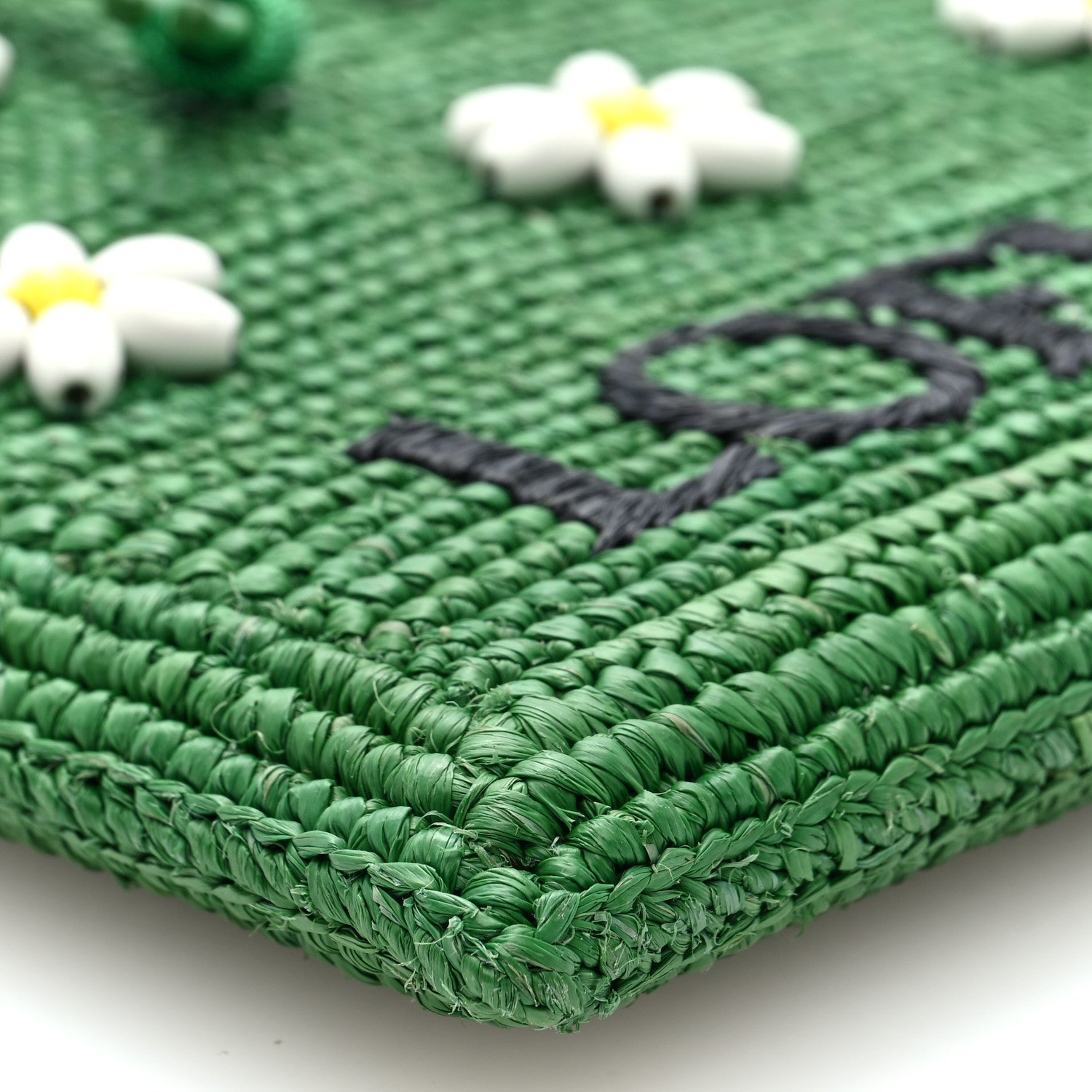 Loewe Raffia Beaded Drawstring Pocket Crossbody Tropical Green White 9 of 10