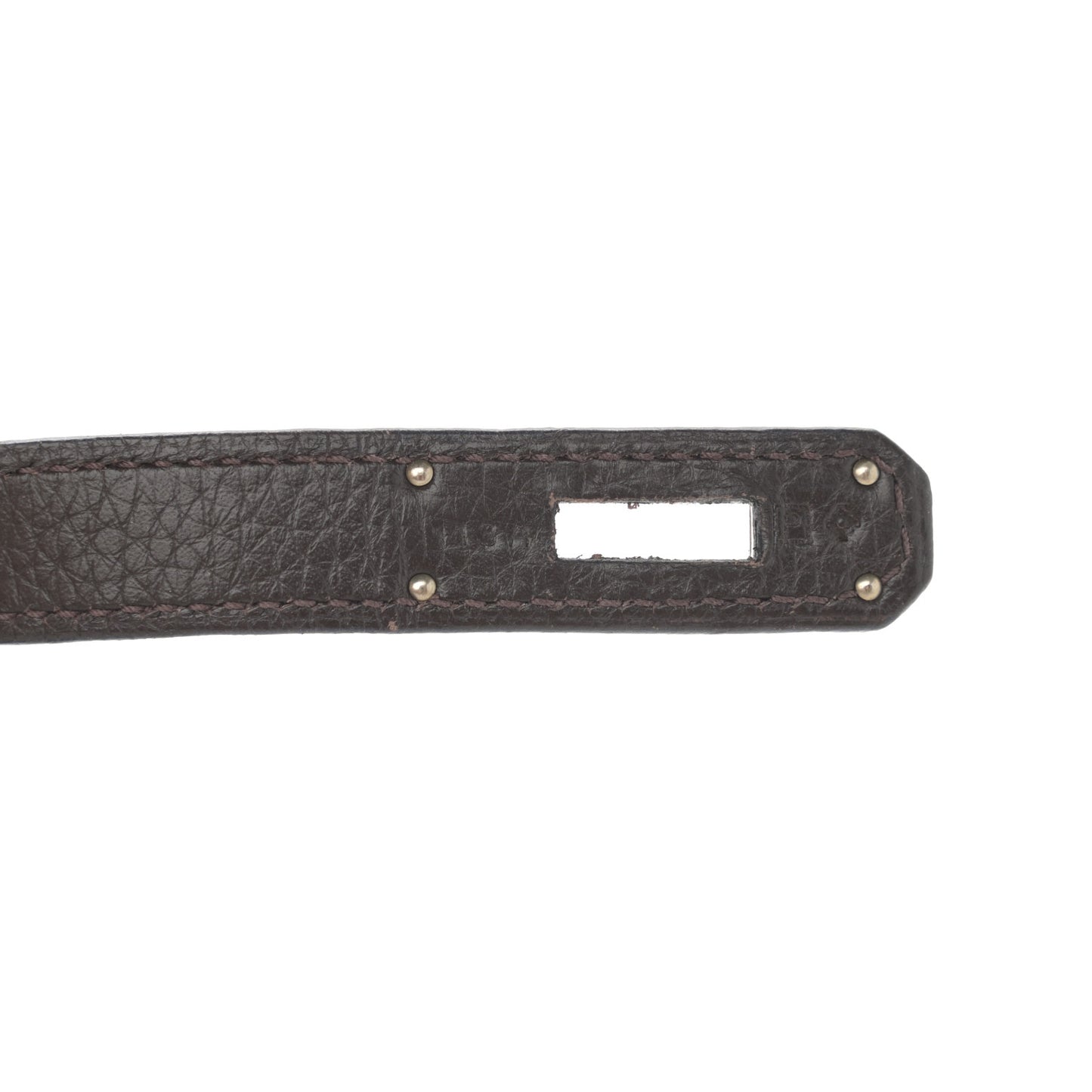 Taurillon Clemence Jypsiere 28 Chocolate