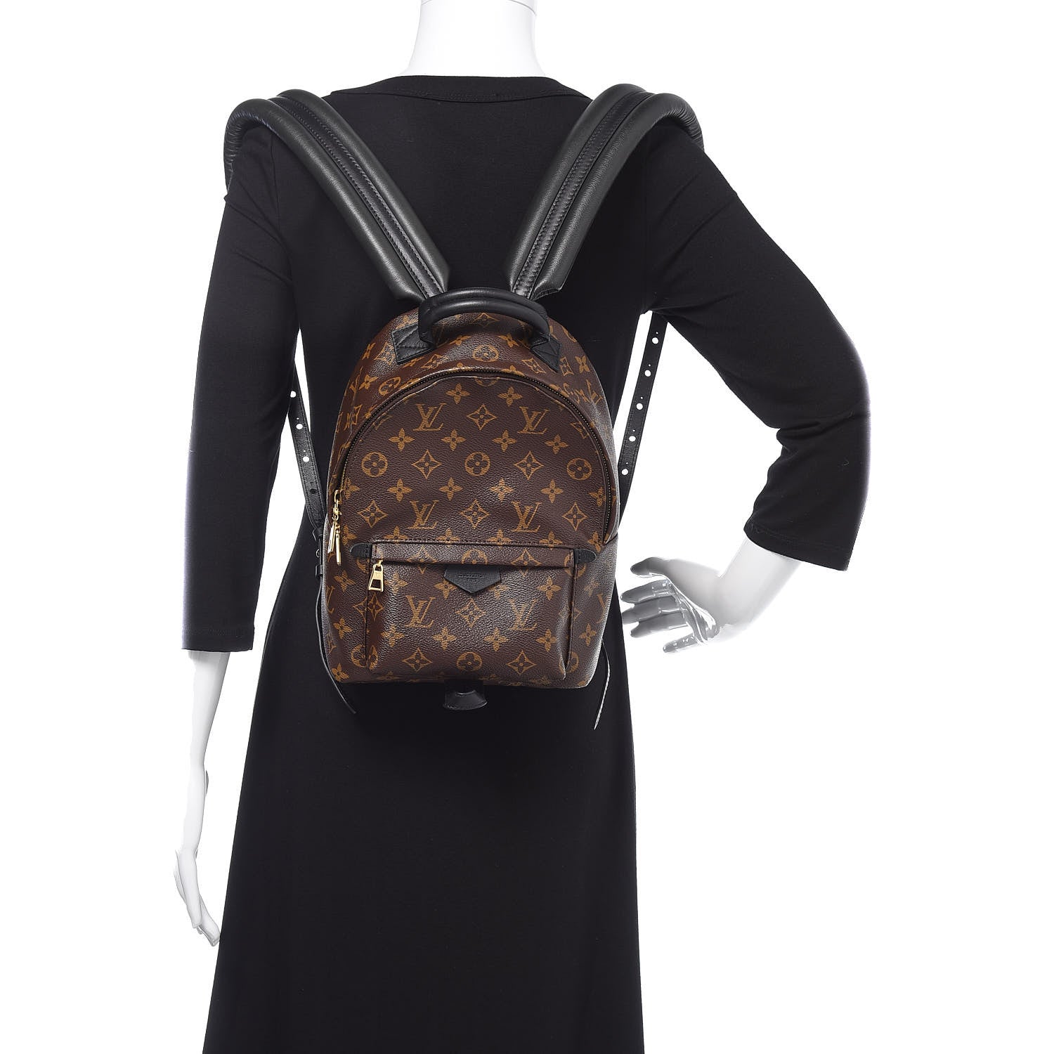Louis Vuitton Monogram Palm Springs Backpack PM 2 of 10