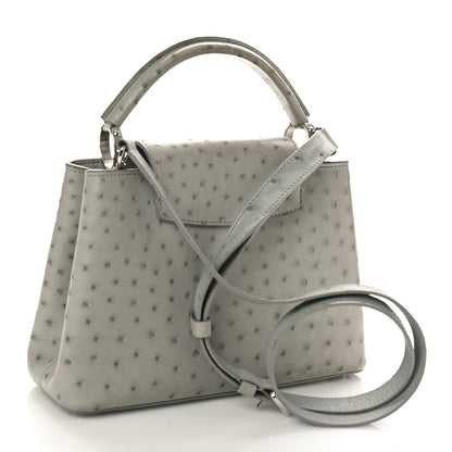 Louis Vuitton Ostrich Capucines BB Gris 3 of 9