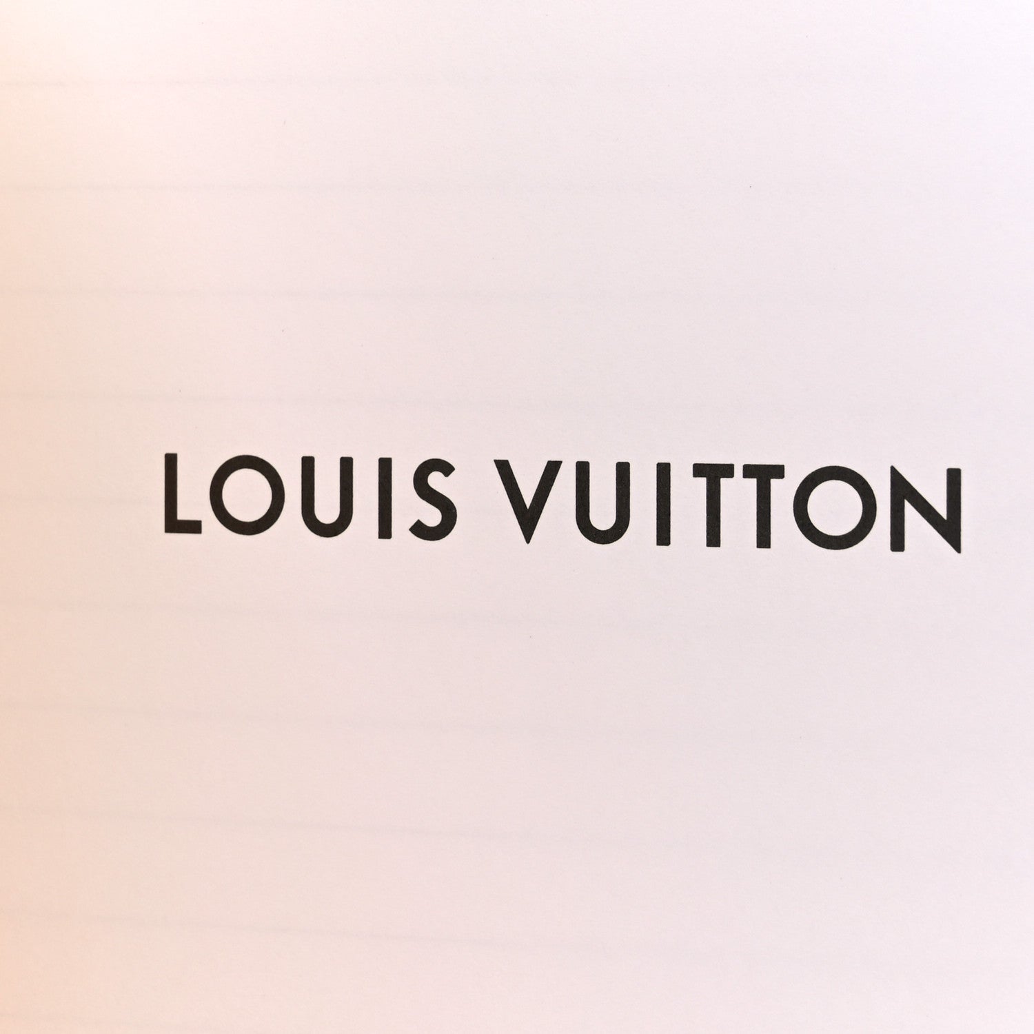 Louis Vuitton Monogram 2022 Christmas Animation New York Soho Clemence Notebook 6 of 6
