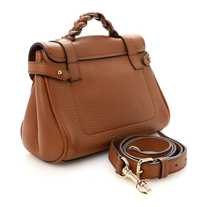 Mulberry Heavy Grain Mini Alexa Chestnut 3 of 9
