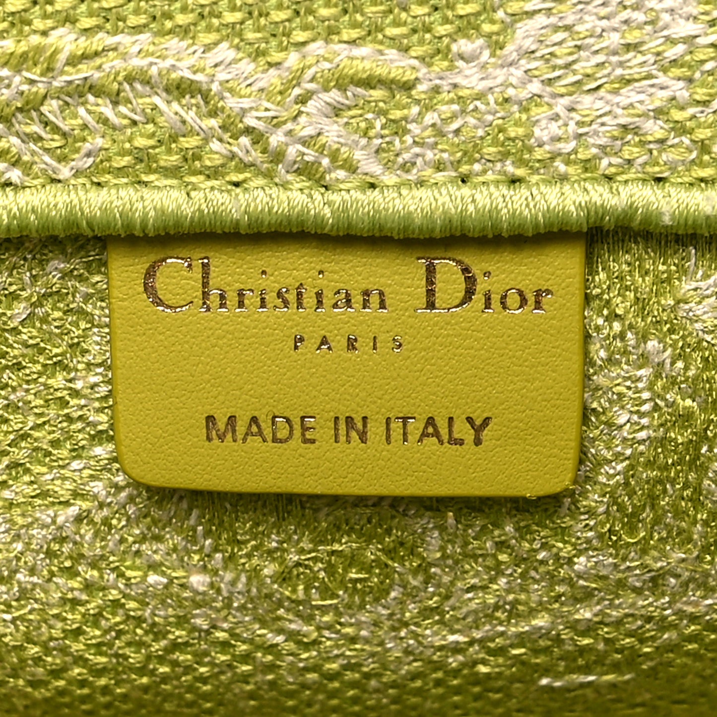 Canvas Embroidered Medium Dioriviera Toile De Jouy Book Tote D-Lite Green