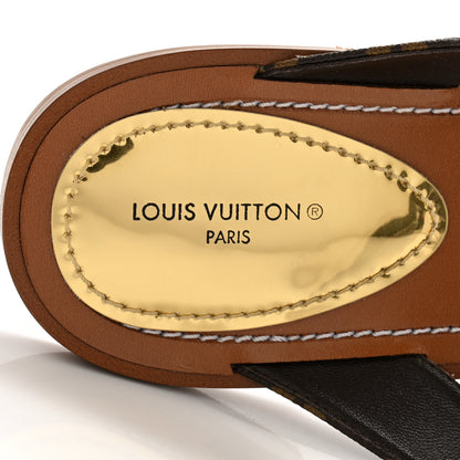 Louis Vuitton Monogram Sunny Flat Thong Sandals 39 Brown 7 of 9