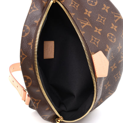 Louis Vuitton Monogram Bumbag 5 of 13