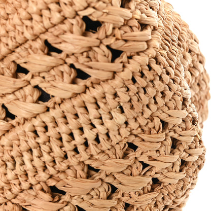 Saint Laurent Raffia Calfskin Small Panier Tote Naturel 11 of 11