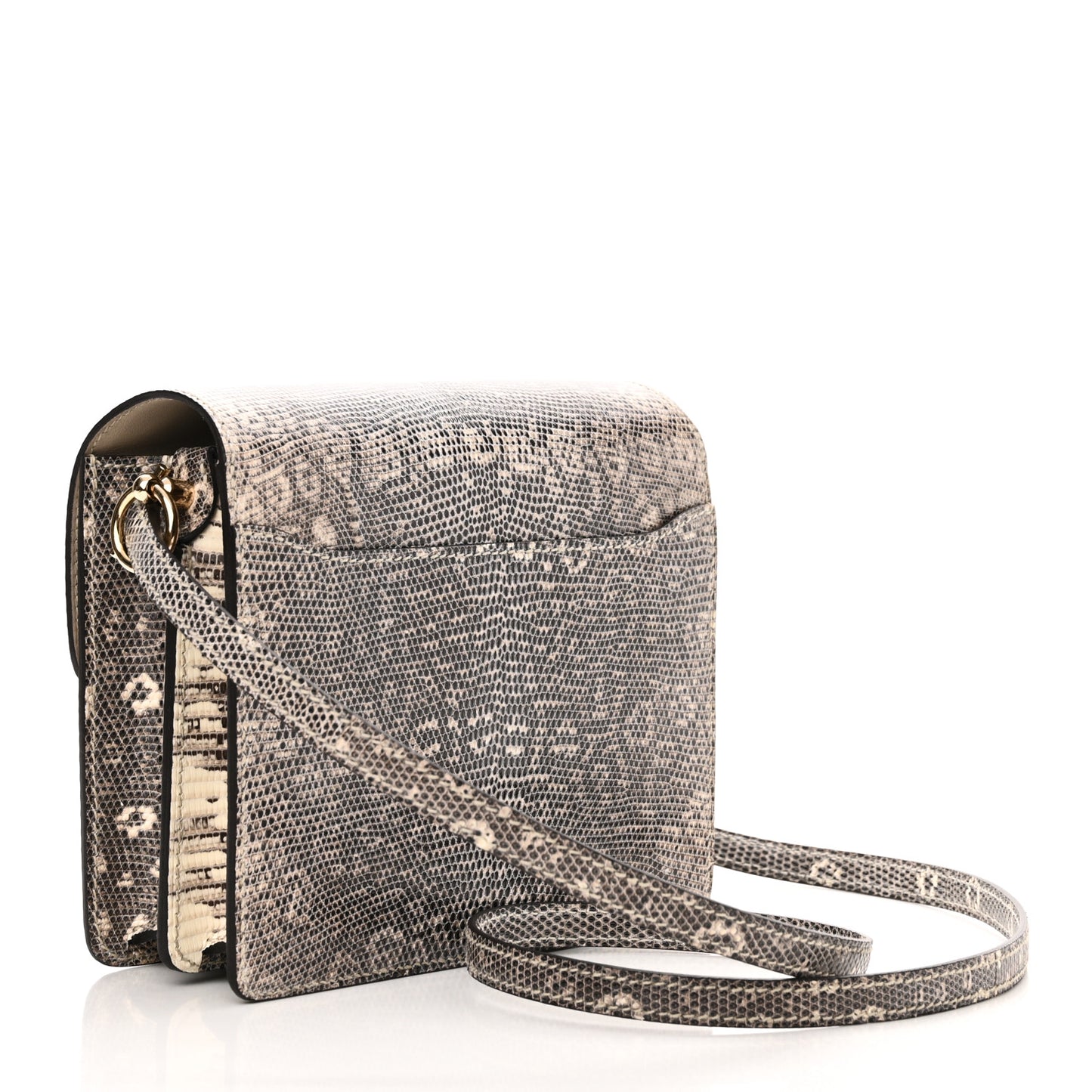 Lizard Mini Sac Roulis Ombre