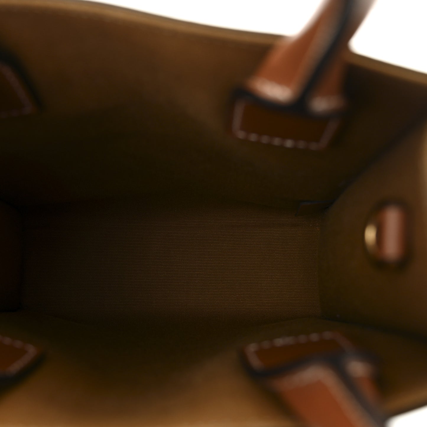 Triomphe Canvas Calfskin Mini Vertical Cabas Tan