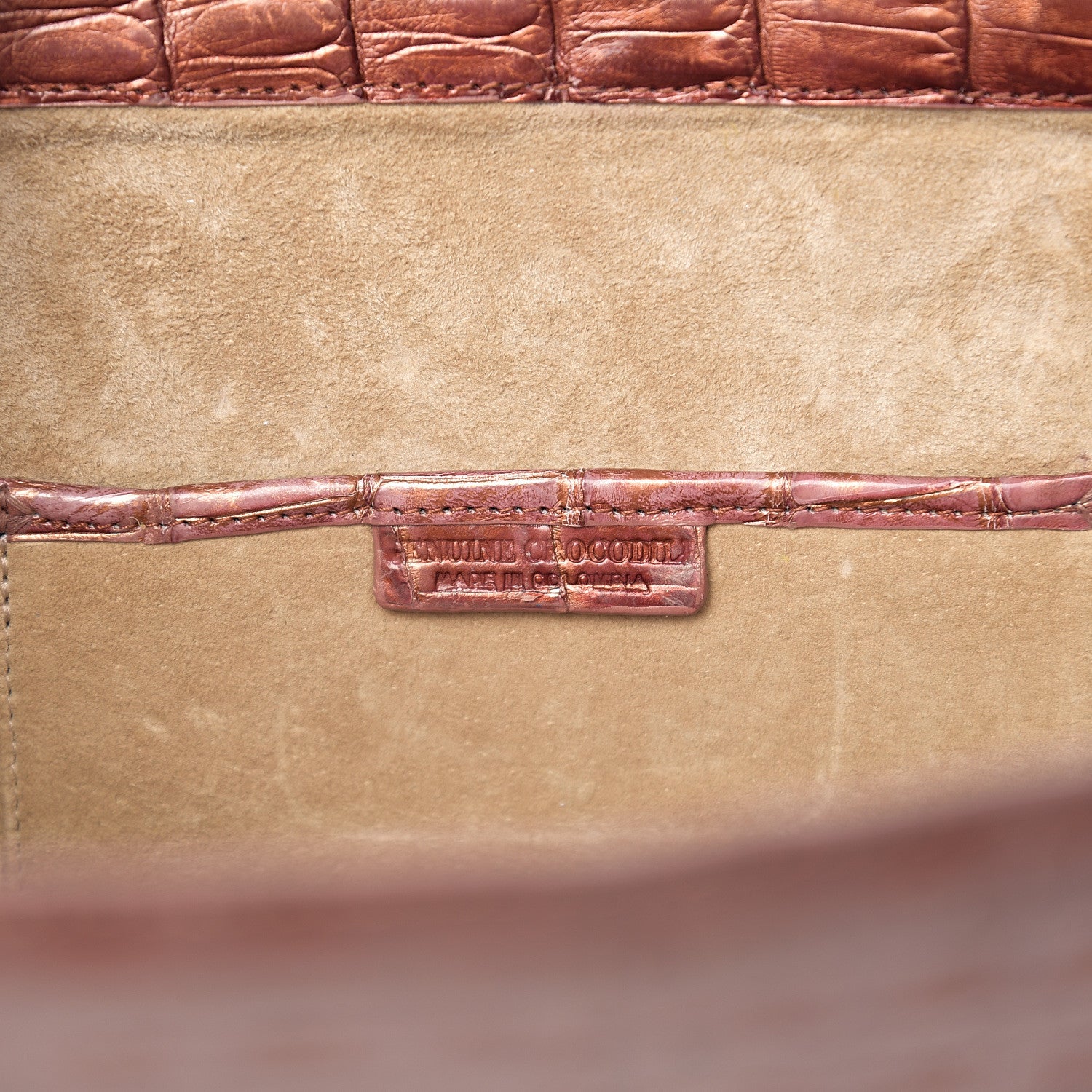Nancy Gonzalez Metallic Crocodile Clutch 6 of 6