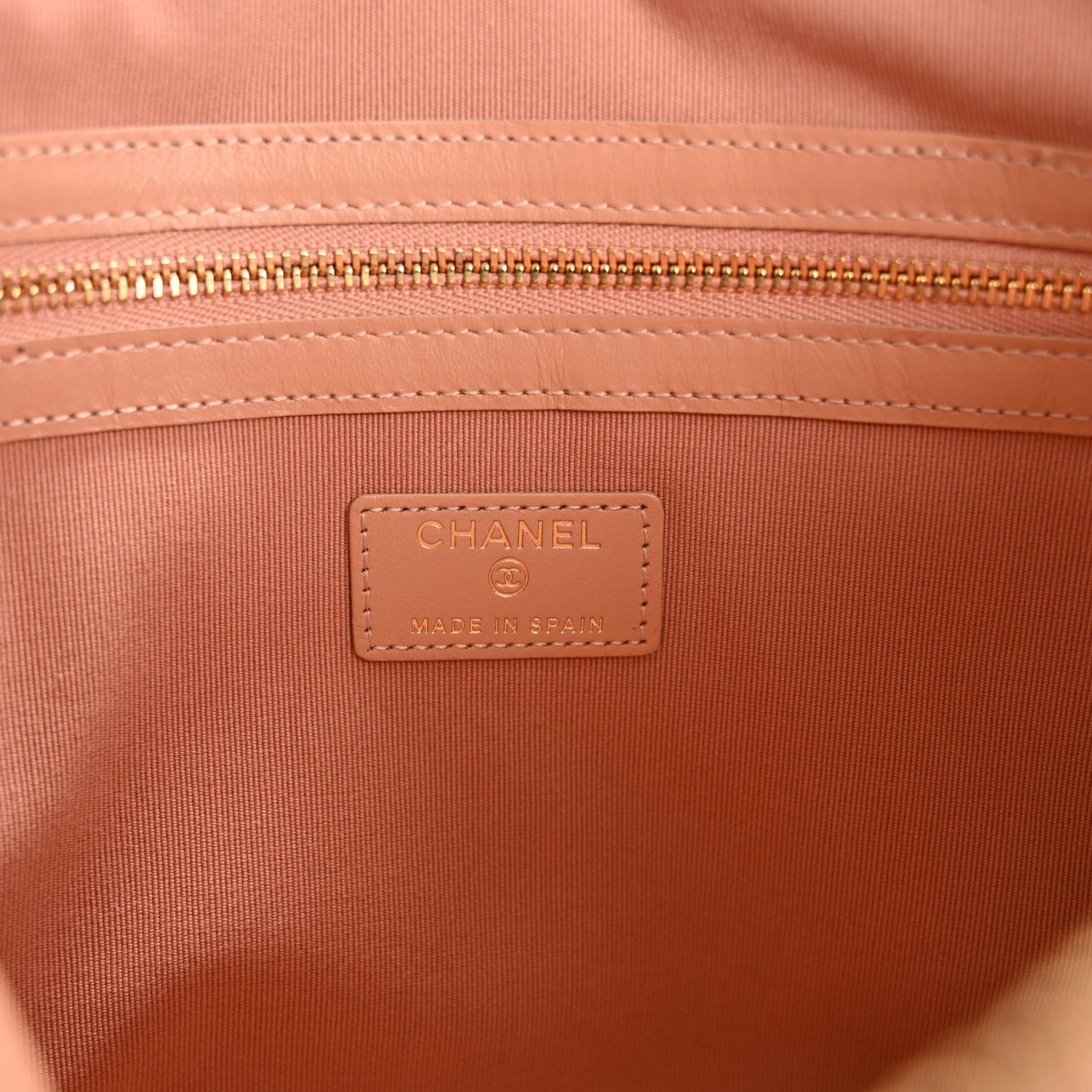 Goatskin Large Chanel 19 Pouch Pink