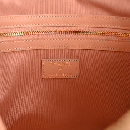 Chanel Goatskin Large Chanel 19 Pouch Pink 6 of 10