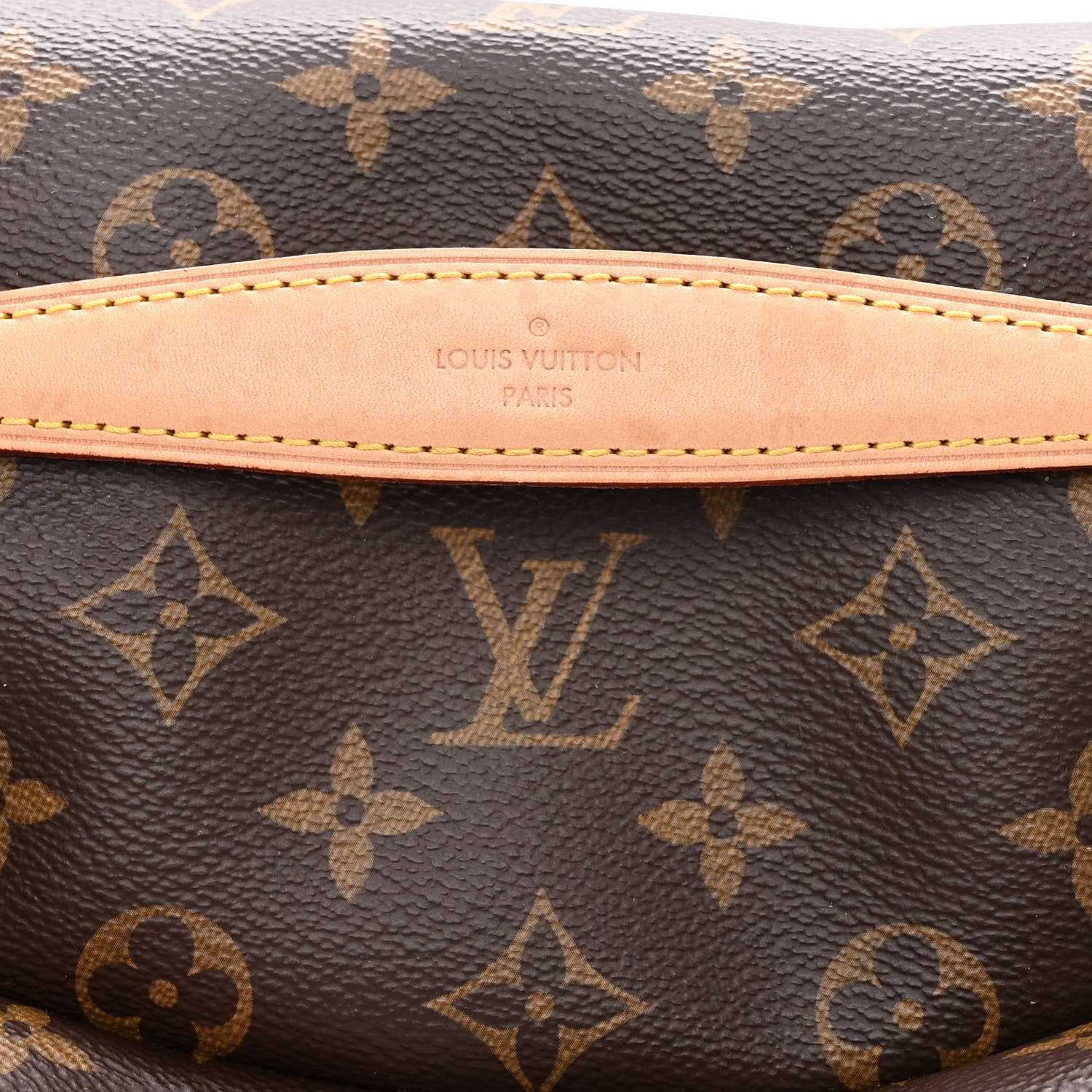 Louis Vuitton Monogram Bumbag 4 of 10