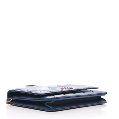 Chanel Goatskin Quilted 19 Wallet On Chain WOC Blue 4 of 14