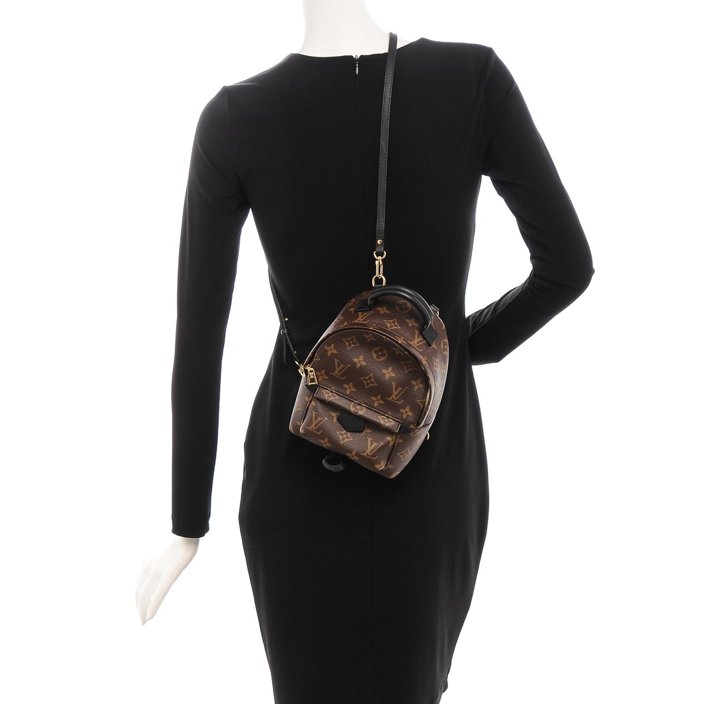 Monogram Palm Springs Backpack Mini