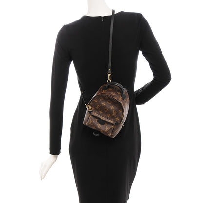Louis Vuitton Monogram Palm Springs Backpack Mini 2 of 6