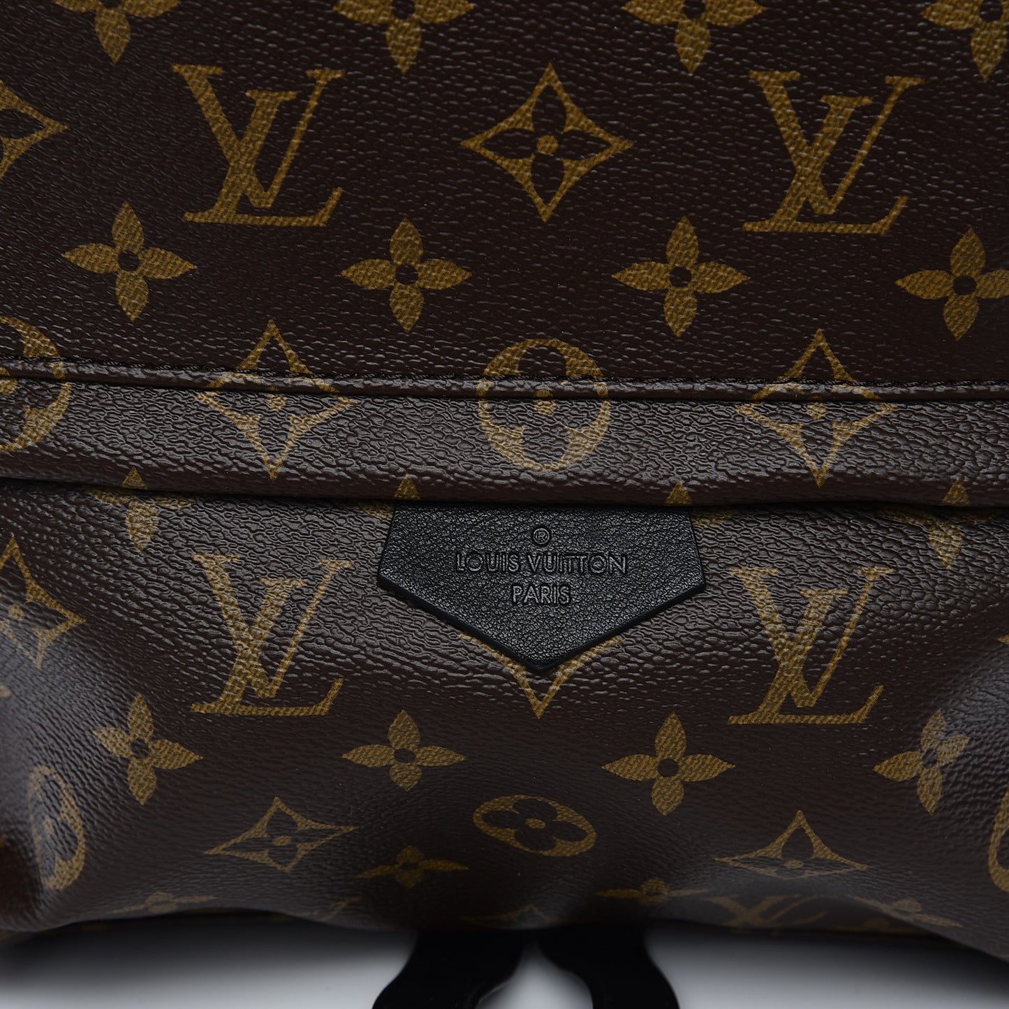 Monogram Palm Springs Backpack MM