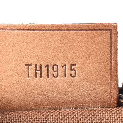 Louis Vuitton Monogram Mini Sac HL Speedy 7 of 8