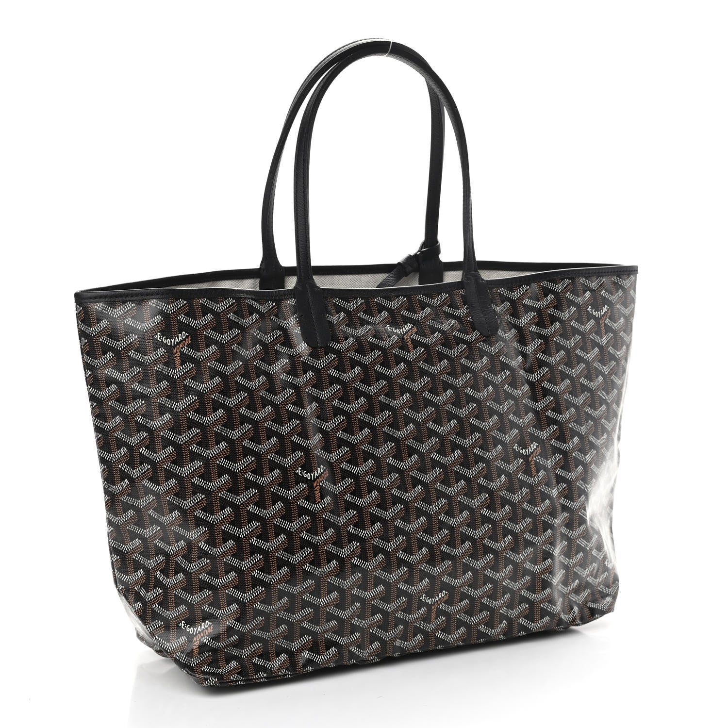 Goyard Goyardine Saint Louis PM Black 3 of 11