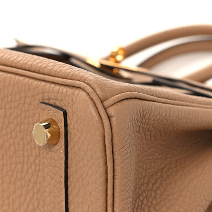 Hermes Togo Birkin 25 Chai 10 of 14