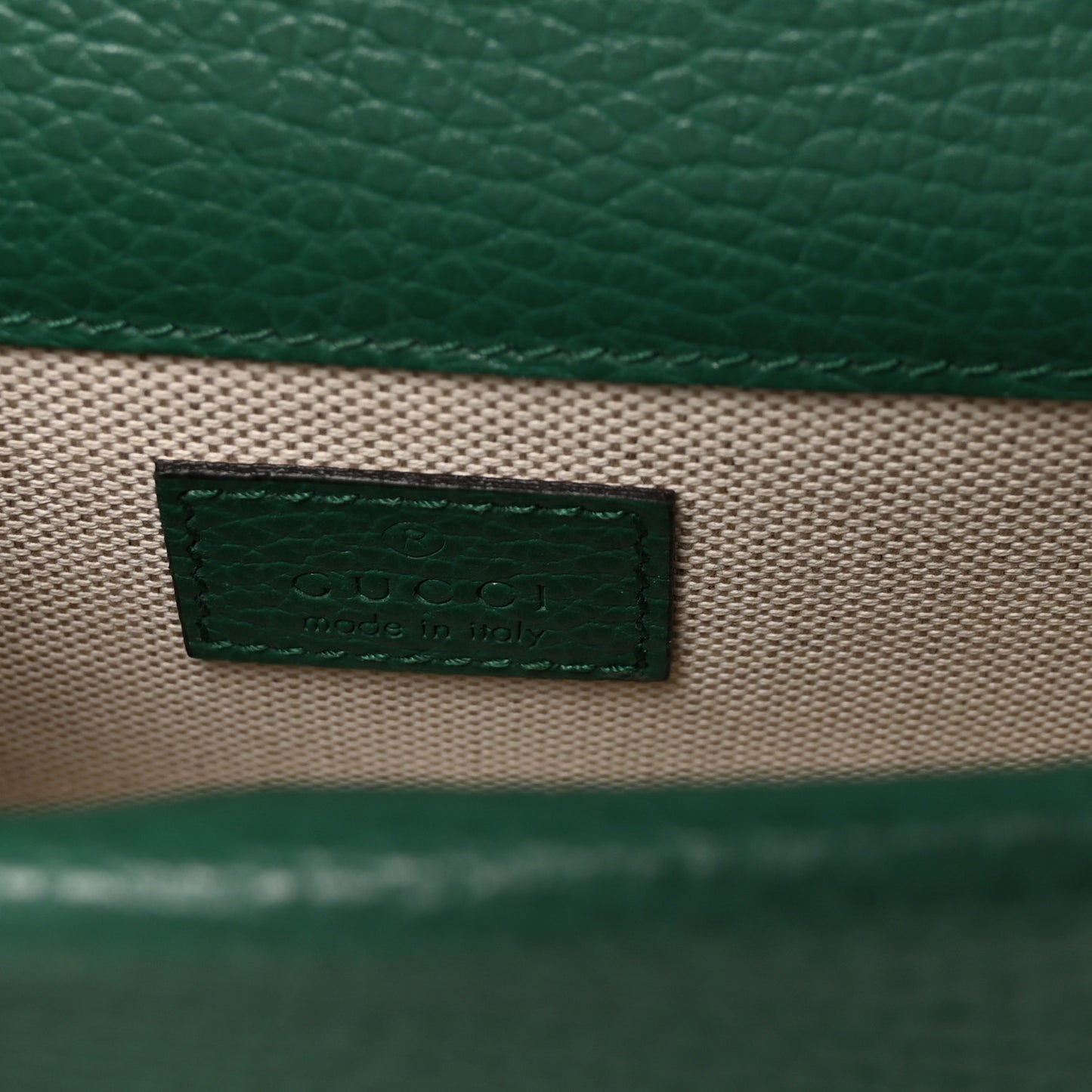 Dollar Calfskin Crystal Mini Dionysus Top Handle Bag Emerald