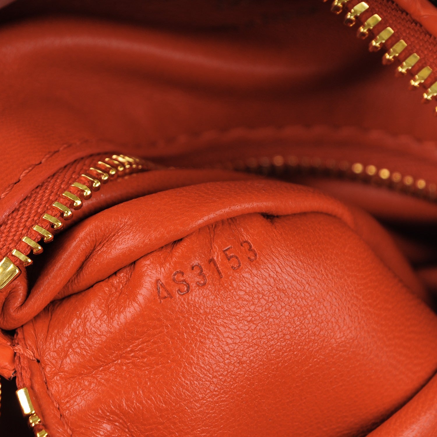 Louis Vuitton Python Embossed Monogram Speedy Bandouliere 20 Orient 7 of 7