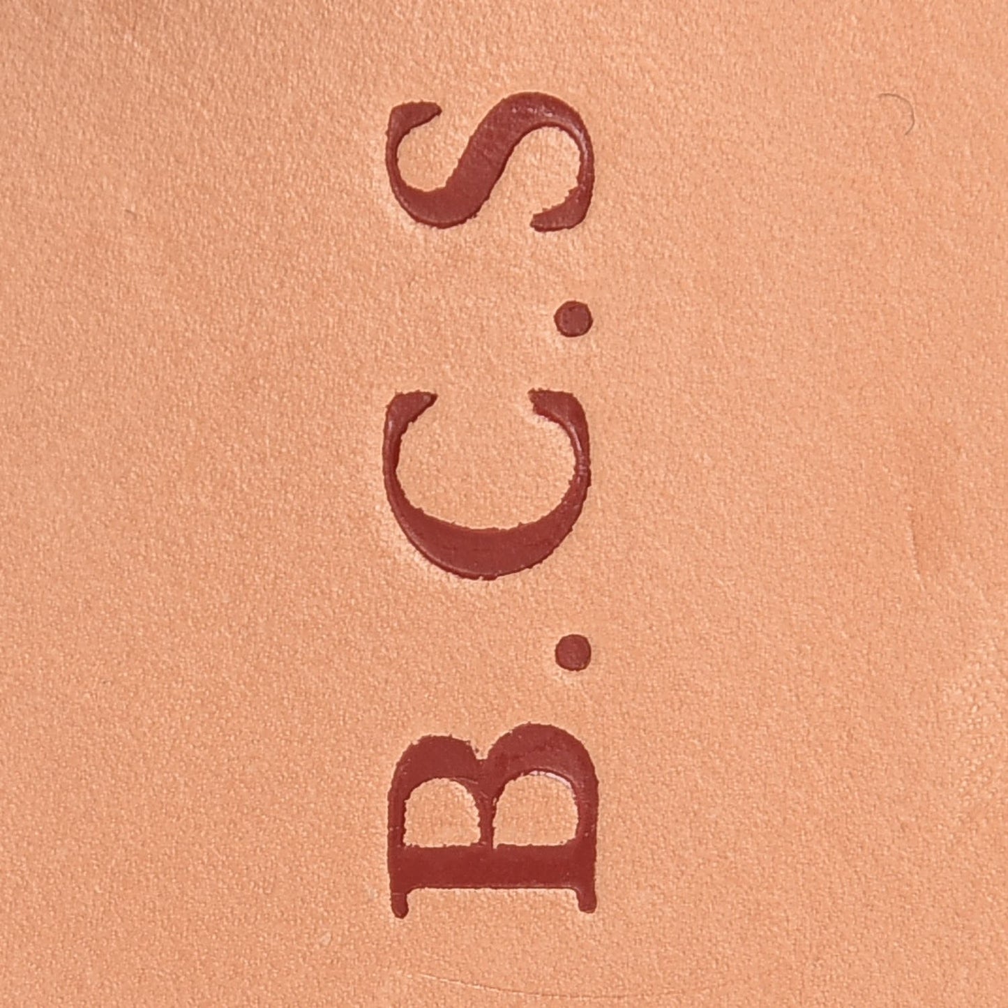 Vachetta Luggage Tag