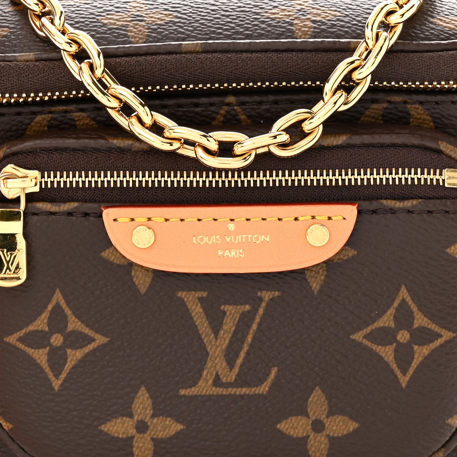Louis Vuitton Monogram Mini Bumbag 7 of 11