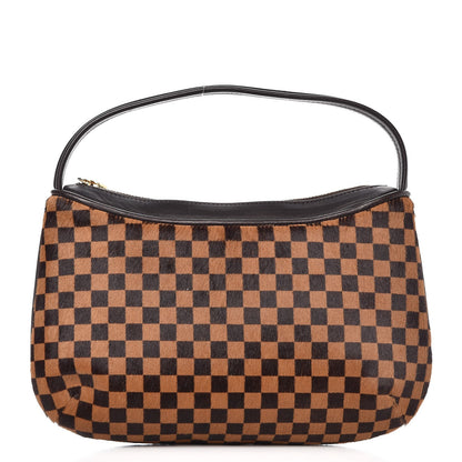Louis Vuitton Calf Hair Damier Sauvage Tigre 1 of 6
