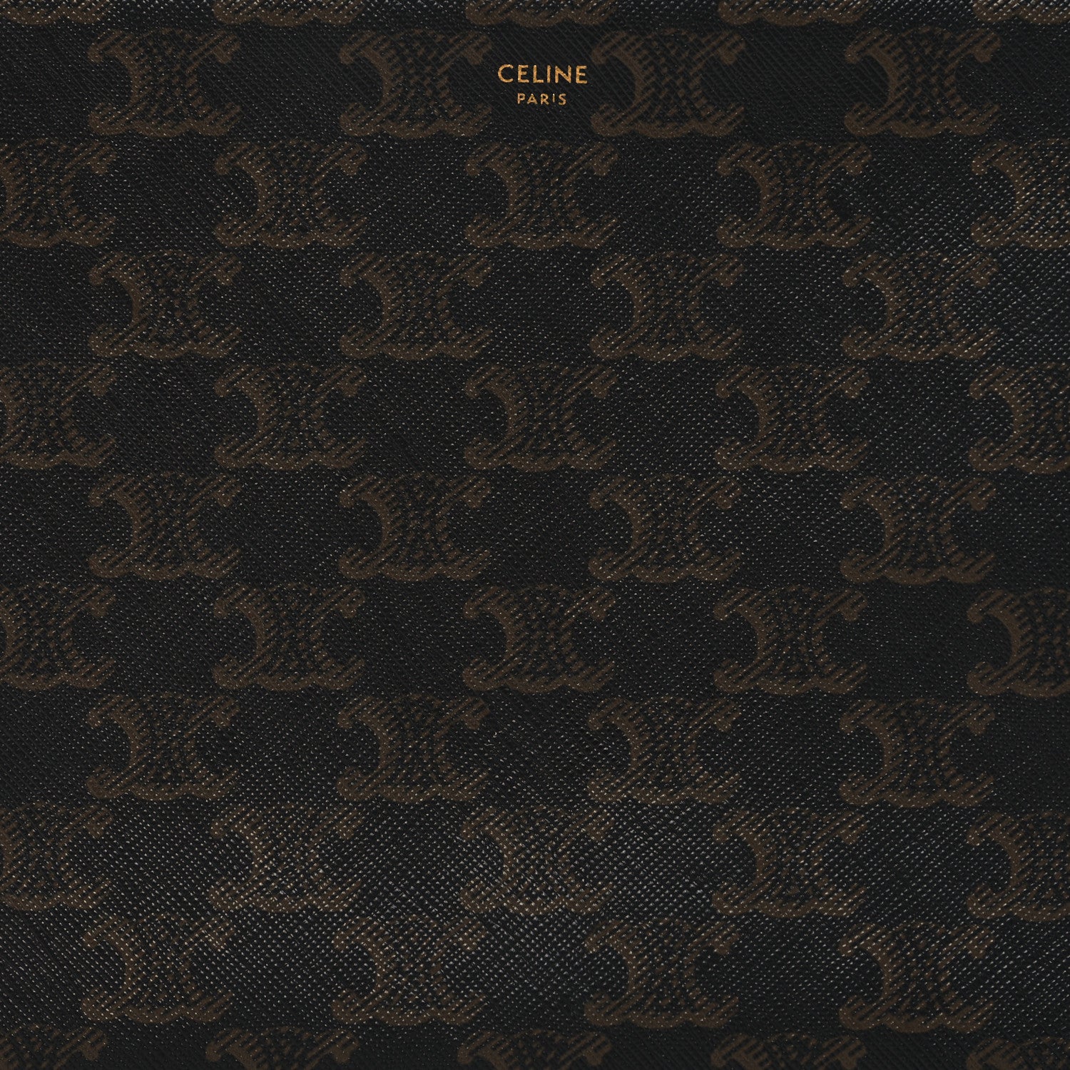 Celine Triomphe Canvas Pouch Black 7 of 10