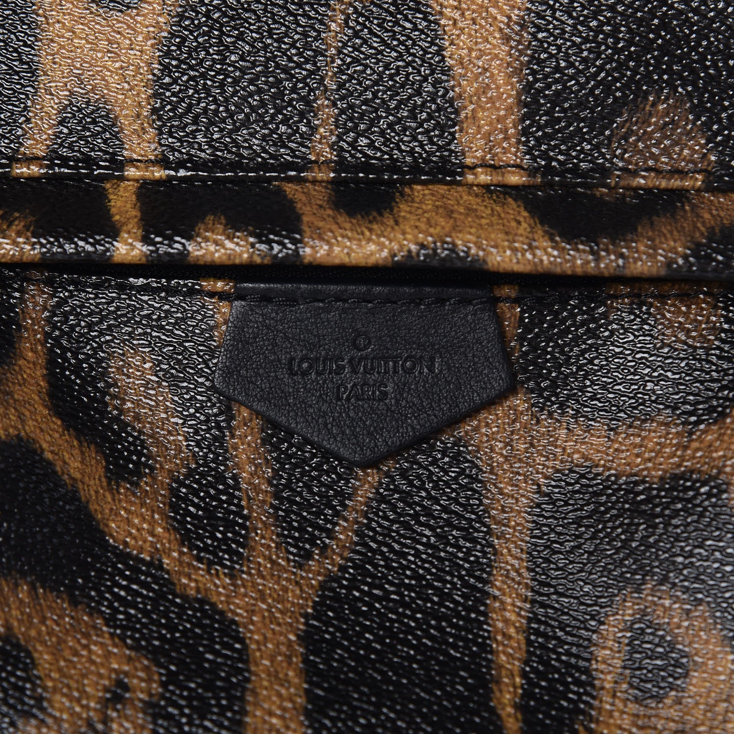 Louis Vuitton Wild Animal Print Palm Springs Backpack PM 7 of 9