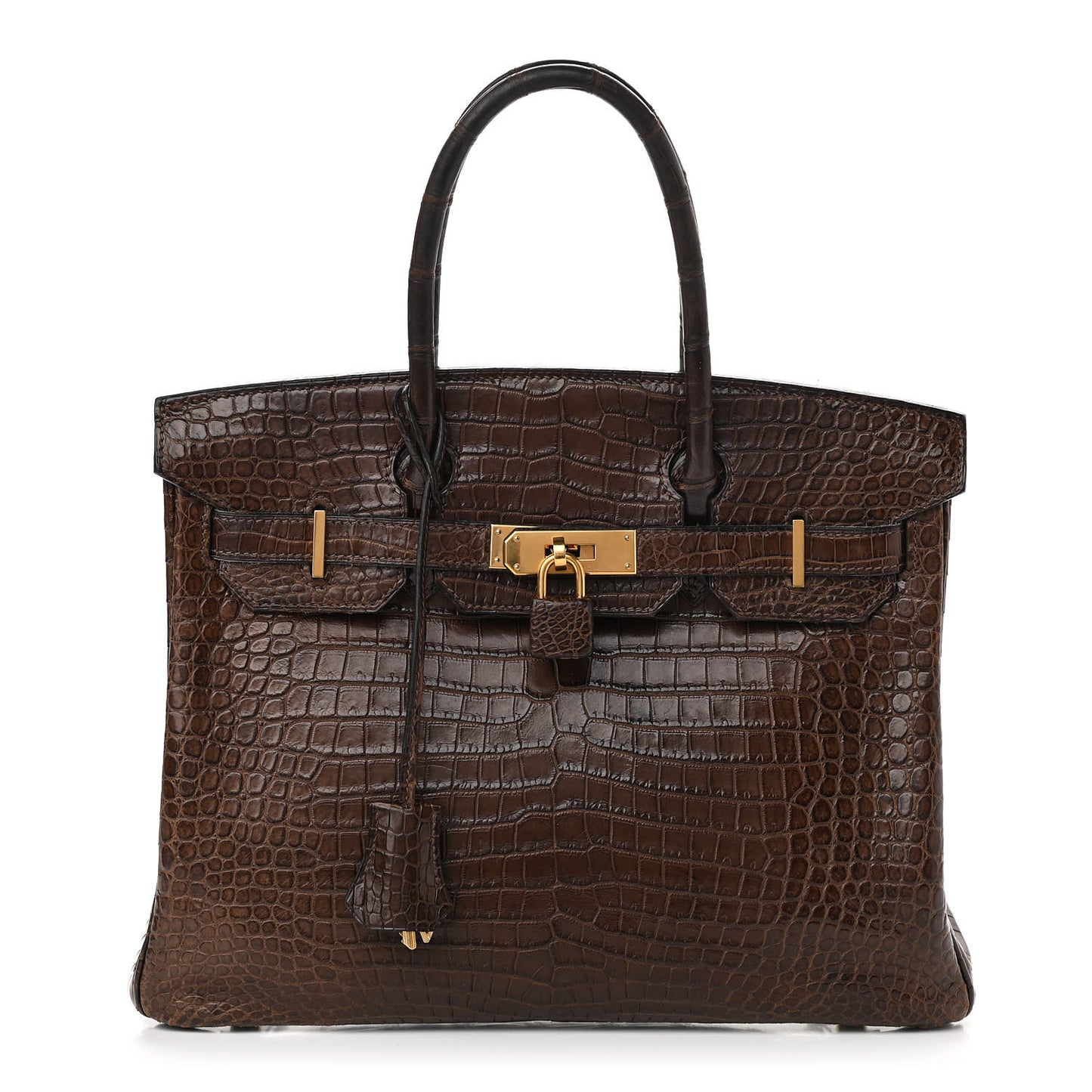 Shiny Porosus Crocodile Birkin 30 Havane