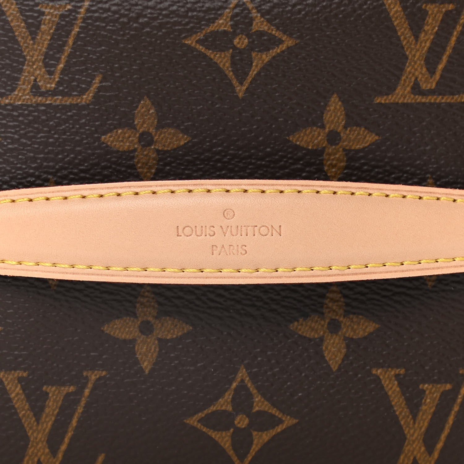 Louis Vuitton Monogram Nice Mini 6 of 10