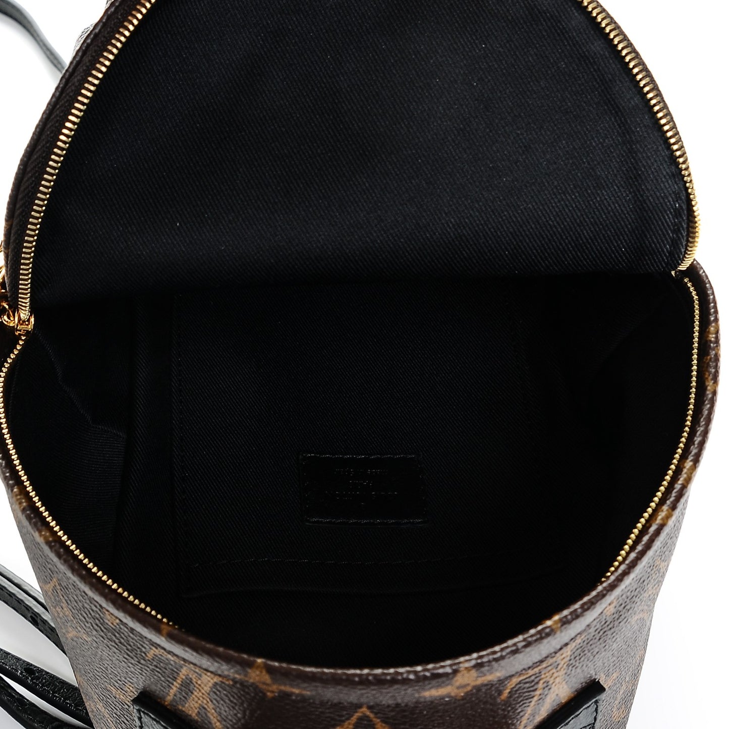 Monogram Palm Springs Backpack Mini