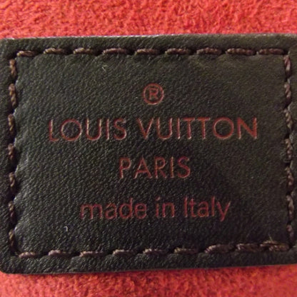 Louis Vuitton Damier Sauvage Lionne 10 of 11