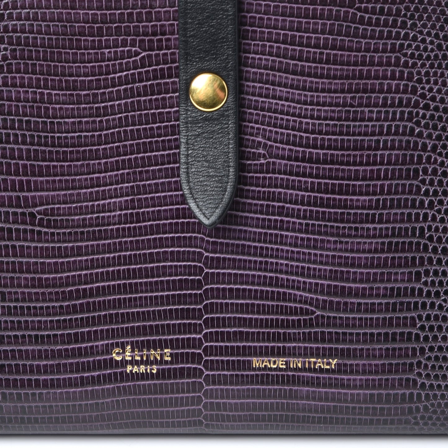 Lizard Calfskin Large Multifunction Strap Wallet Velvet