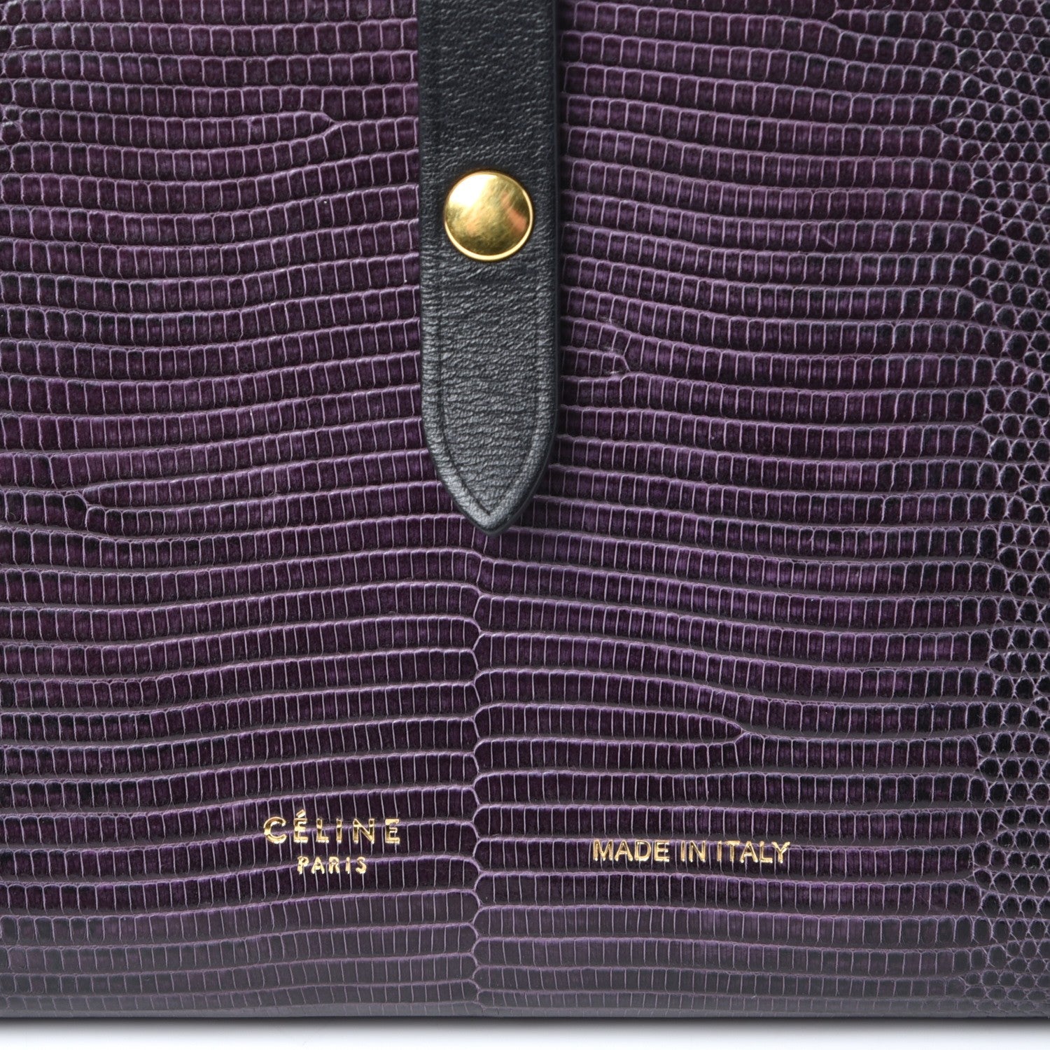 Celine Lizard Calfskin Large Multifunction Strap Wallet Velvet 6 of 7