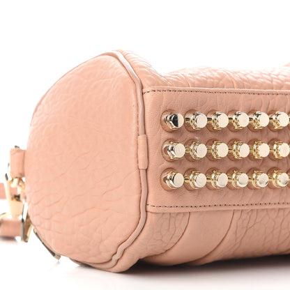 Alexander Wang Pebbled Lambskin Mini Rockie Truffle Gold Hardware 6 of 7