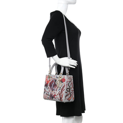 Christian Dior Calfskin Embroidered Beaded Medium Nature Ballet Lady Dior Grey Multicolor 2 of 9