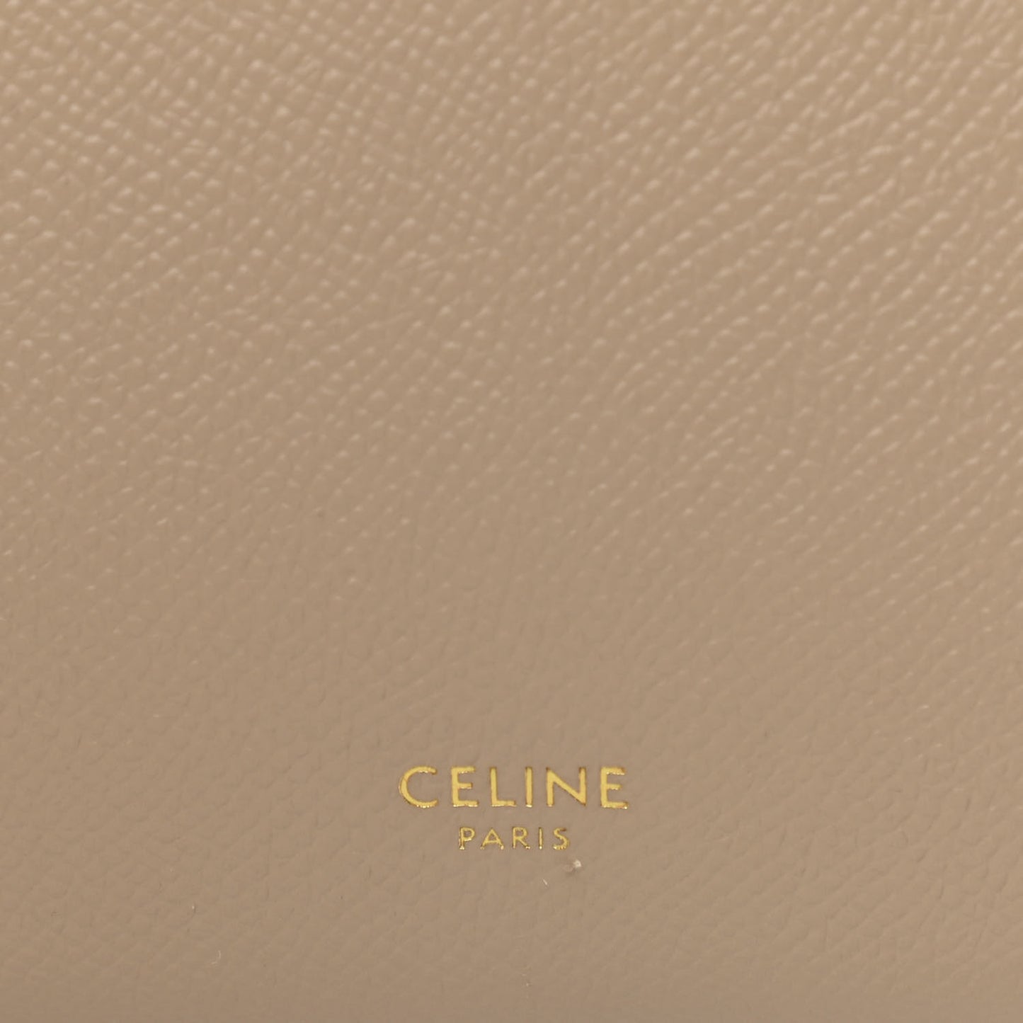 Grained Calfskin Nano Belt Bag Light Taupe