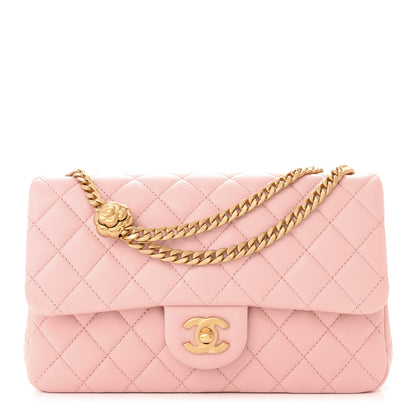 Chanel Lambskin Quilted Small Sweet Camellia Flap Light Pink 1 of 10
