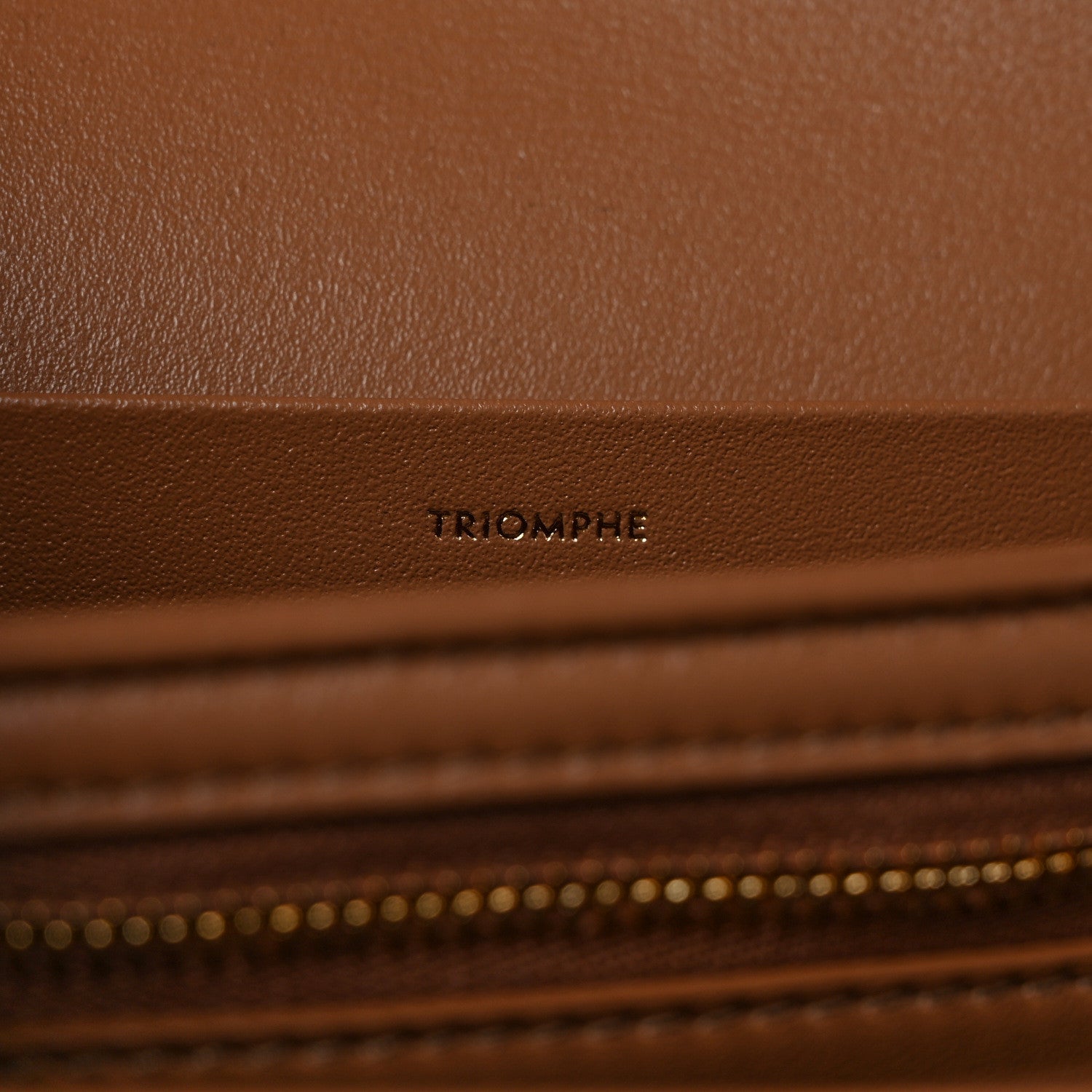 Celine Shiny Calfskin Medium Triomphe Bronze 7 of 10