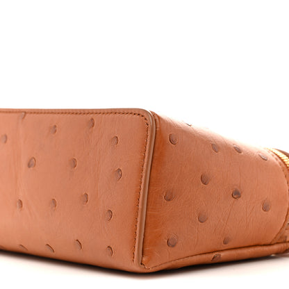 Loro Piana Ostrich L19 Extra Pocket Pouch Cognac 9 of 10