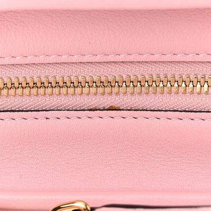 Loewe Calfskin Amazona 23 Pink 11 of 13