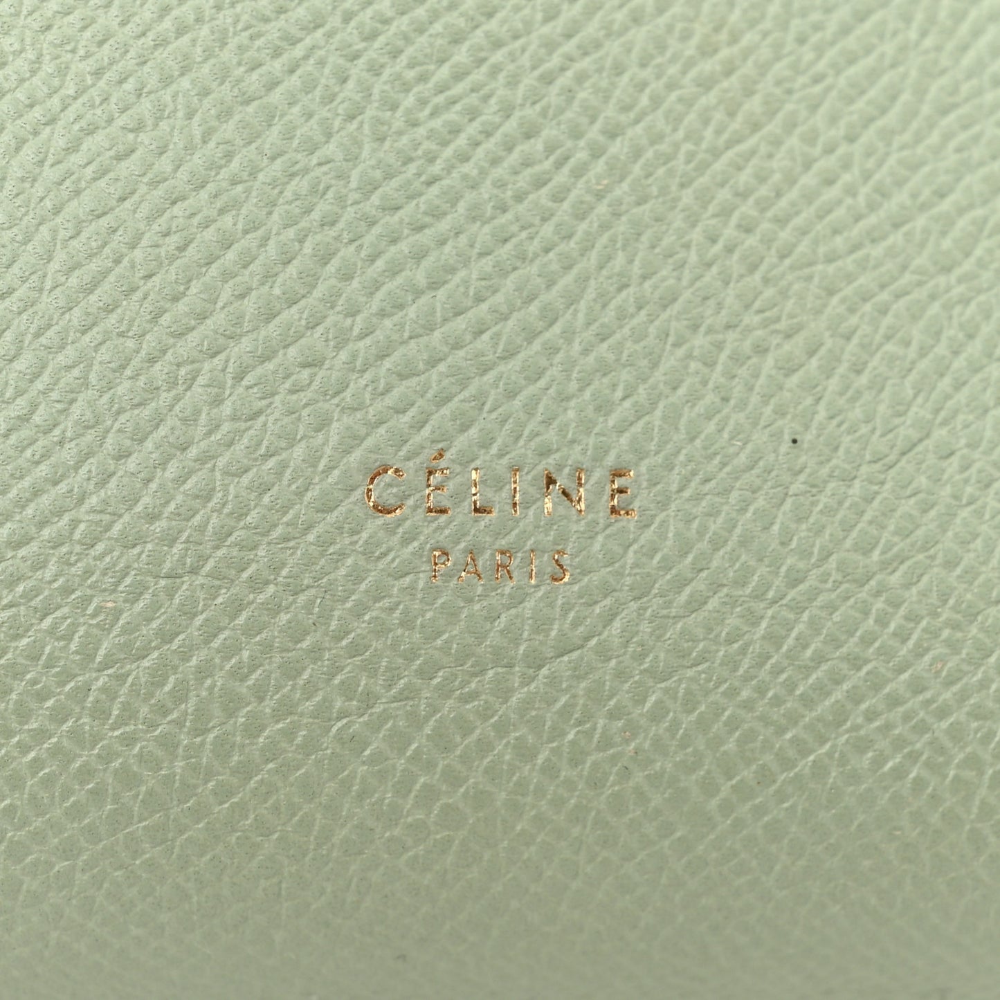 Grained Calfskin Nano Belt Bag Pastel Green