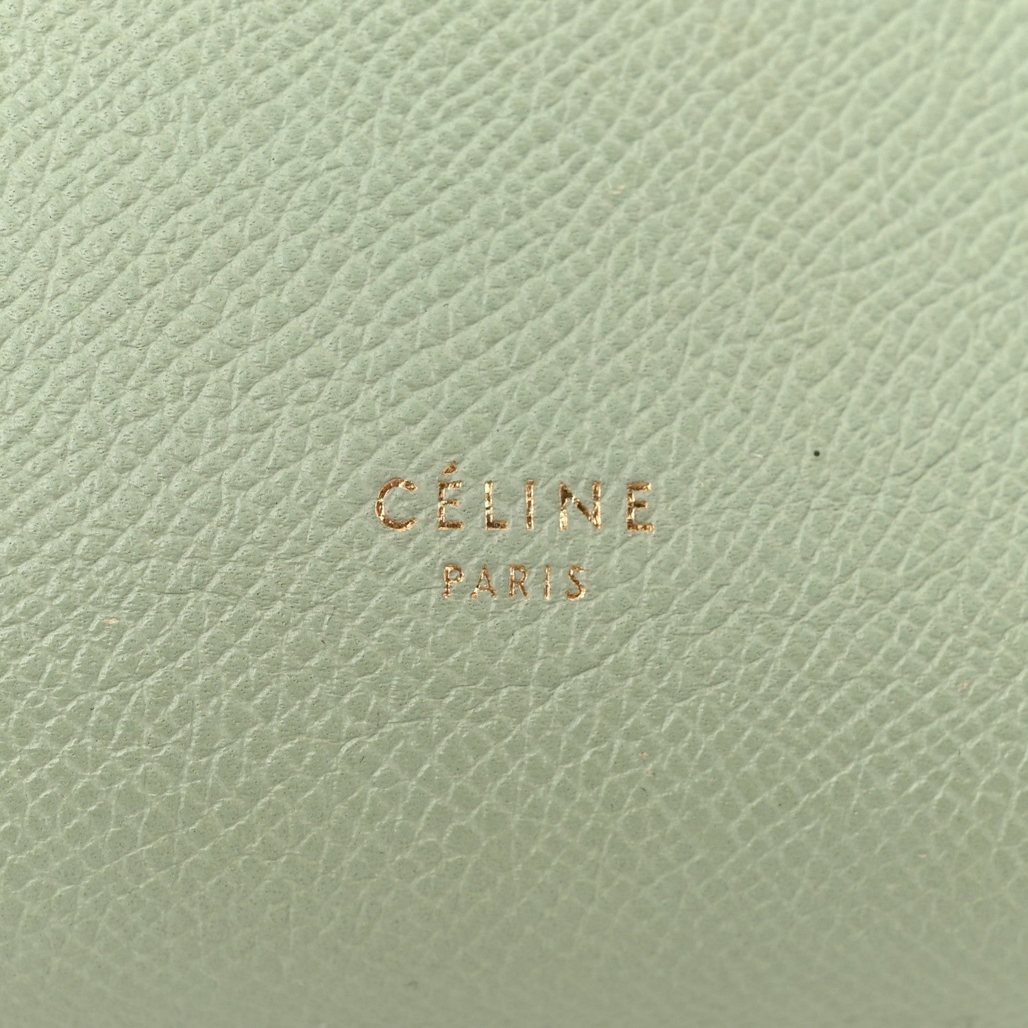 Celine Grained Calfskin Nano Belt Bag Pastel Green 6 of 10