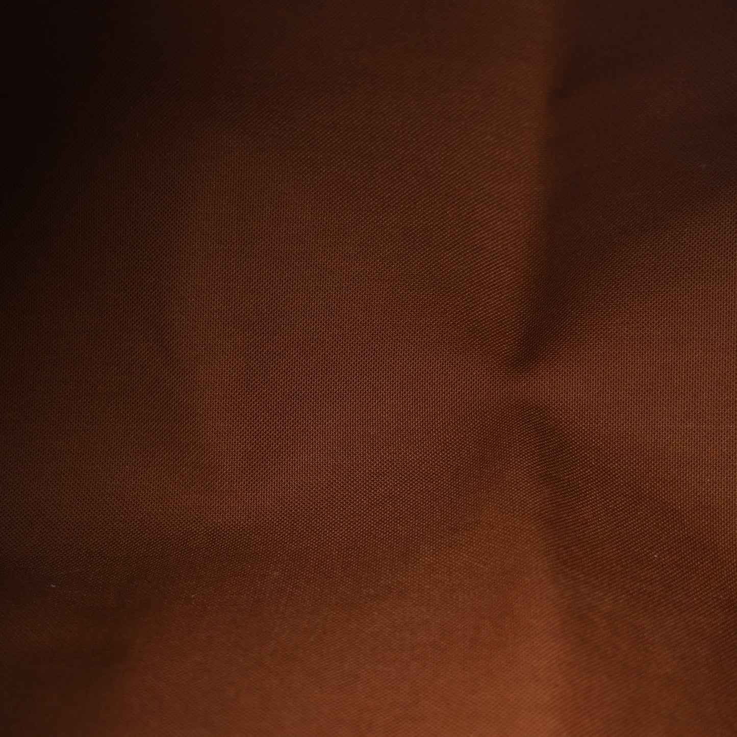 Monogram Speedy Bandouliere 25