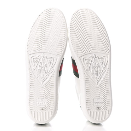 Gucci Calfskin Web Pig Kitten Embroidered Womens Ace Sneakers 39 White 5 of 8